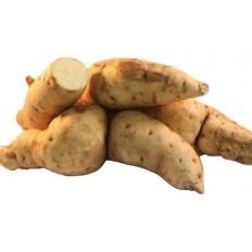 Fresh White Sweet Potato 1kg ( Uganda )